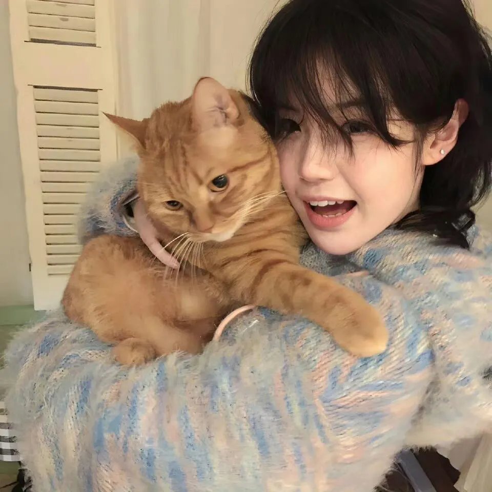 野性的猎物封面